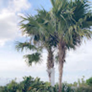 Meet your Posher, Annabelle